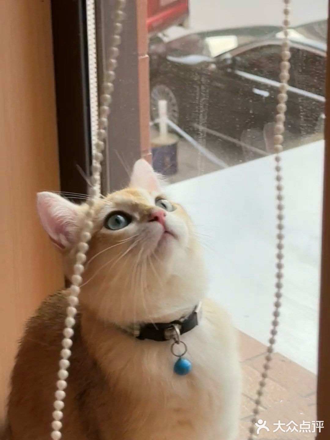 雾隐