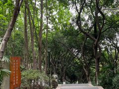 -龙头寺公园