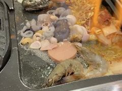 -海抱猪
