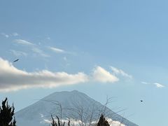 -河口湖八音盒之森美术馆