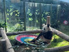 -大连森林动物园