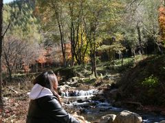 -参仙谷生态旅游度假区