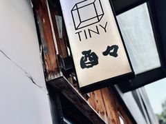 -TINY
