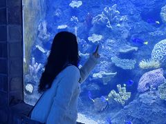 -左海海底世界