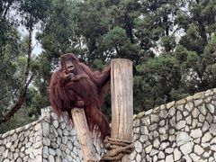 -云南野生动物园