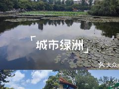 -翠湖公园