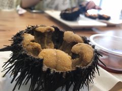-海胆小馆(东北水饺·春柳店)
