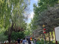 -燕郊植物园