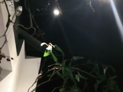 -春天来了(印象新天地店)