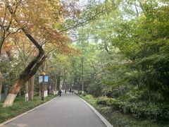 -狼山风景名胜区