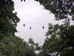 -青城山