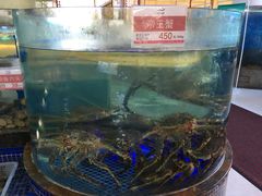 -欢乐海岸美食联盟