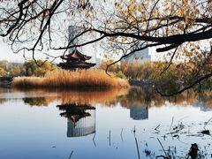 -青城公园