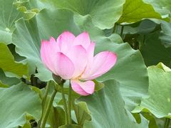 -迎泽公园