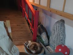 -白兔子密室(长寿路店)