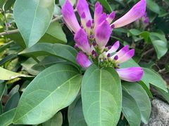 -广东中医药博物馆