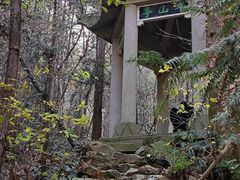 -冶父山国家森林公园