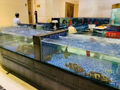 水产区-龙悦湾酒家·八阵鱼生·渔人码头店