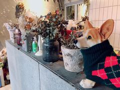 -ZooYoo佐佑咖啡(鼓楼店)