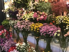 -花里花店(唐镇阳光天地店)