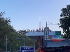 -野象谷景区
