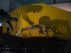 -湖南省地质博物馆