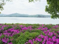 -苏州上方山国家森林公园