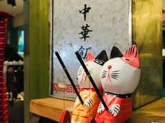 -猫咪博物馆(顶澳仔猫街店)