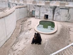 -天津市动物园