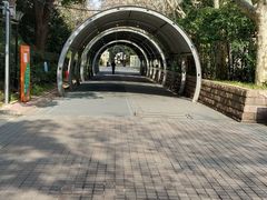 -人民公园-相亲角