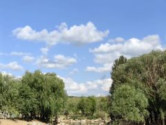 -鄂尔多斯野生动物园