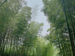-良渚古城遗址公园