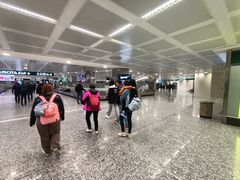 -米兰马尔彭萨国际机场