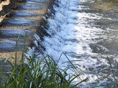 -洋湖国家湿地公园