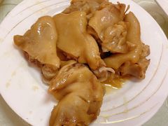 -丁老爷子苏香圆