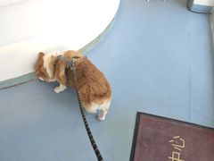-全心全意动物诊疗中心医院(北苑店)
