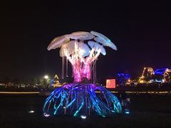 -花博汇(知音花月夜)