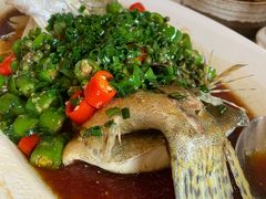 椒麻蒸桂花鱼-玫瑰厅上海菜(兴国路店)