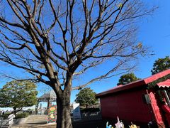 -横滨红砖仓库1号馆