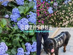-中粮·祥云小镇