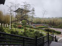 -大唐贡茶院