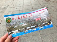 -广东茂名森林公园