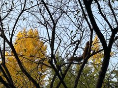 -成都杜甫草堂博物馆