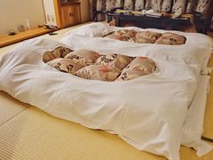 -有马温泉 竹取亭円山温泉旅馆