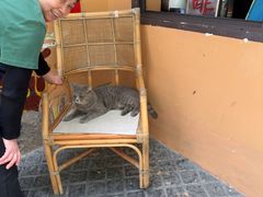 -猫岛主趣味餐厅(鼓浪屿店)