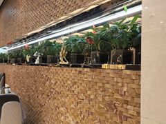 -红菜坊·烤鸭·川鲁宴(石园店)