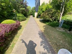 -上海崇明金茂凯悦酒店
