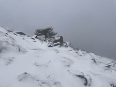 -灵山