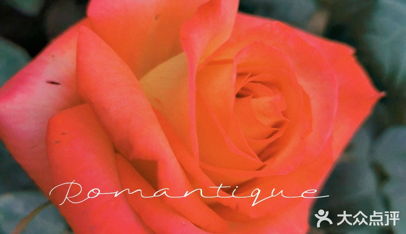 繁花似锦觅安宁