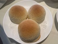 雪顶雄峰-利苑酒家(金宝店)